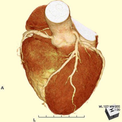 radiology_img03.jpg