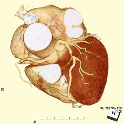 cardiology_img01.jpg