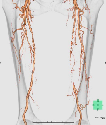 cardiology_img03.jpg