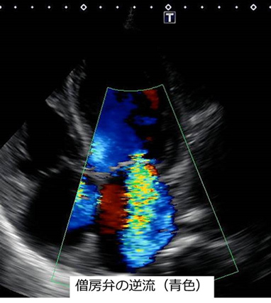 cardiology_img09.jpg